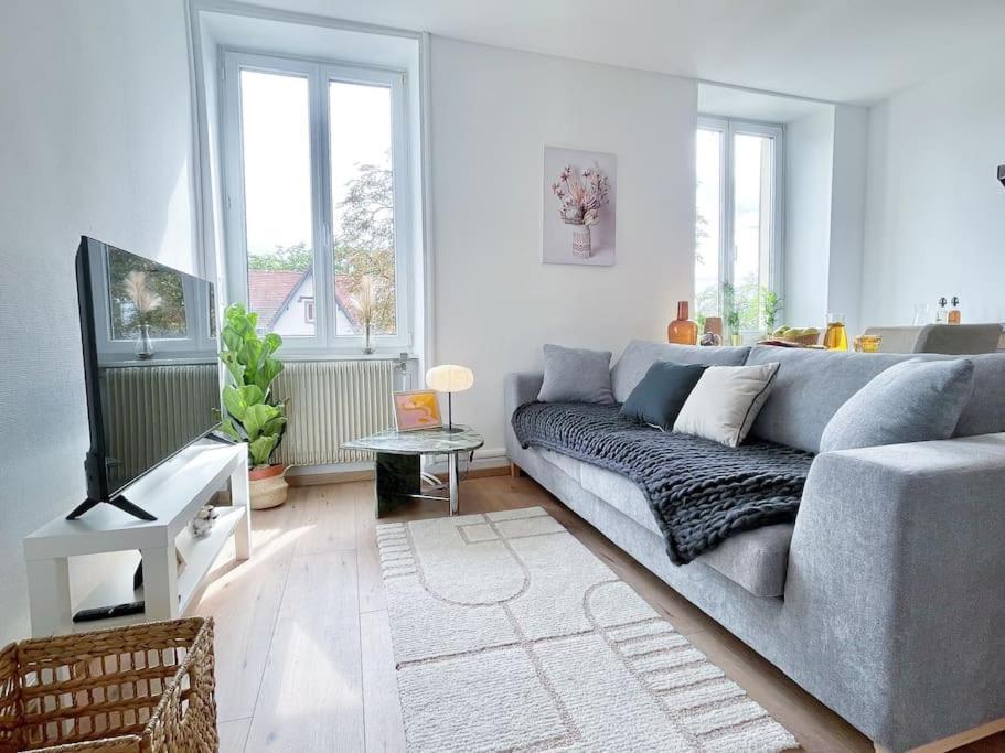 1 Appartement 3P Ideal Famille Travail Renove Lumineux Parking Gratuit Mylhúzy Exteriér fotografie
